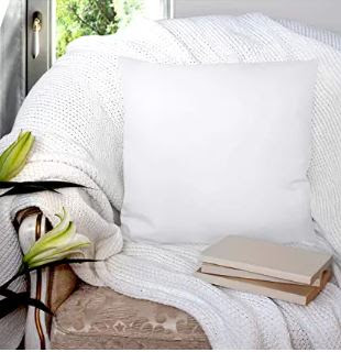 throw pillows living room apartment